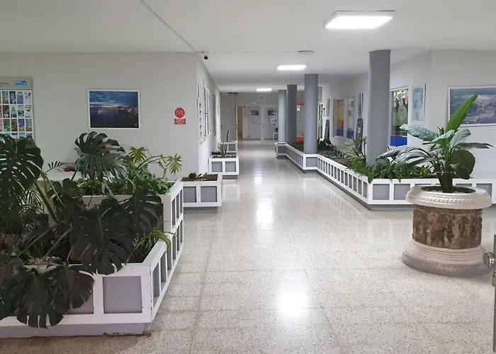 Mirador Costamar Tenerife Apartmán Los Cristianos (Tenerife)